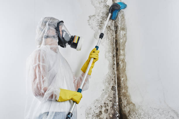 Best Water Damage Restoration  in Saugatuck, CT
