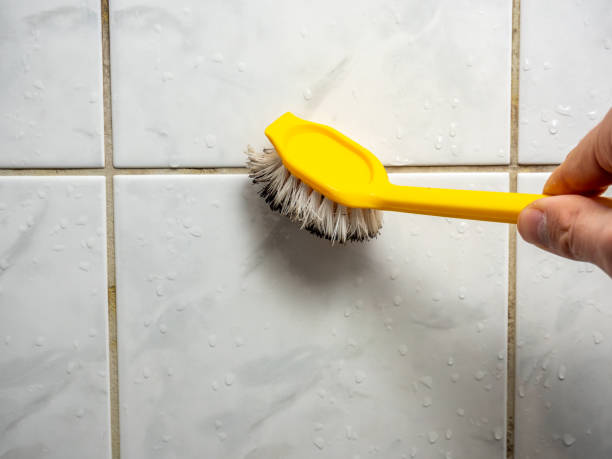 Best Attic Mold Removal  in Saugatuck, CT