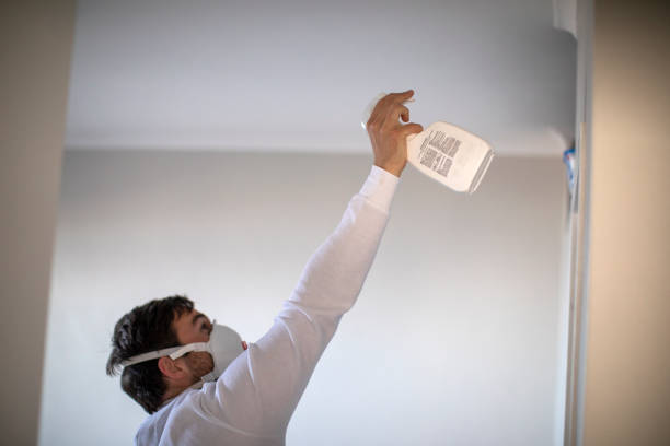 Best Fast Mold Removal  in Saugatuck, CT