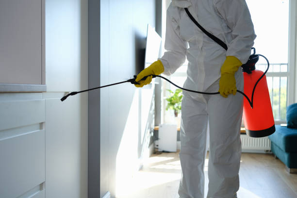 Best Mold Inspection  in Saugatuck, CT