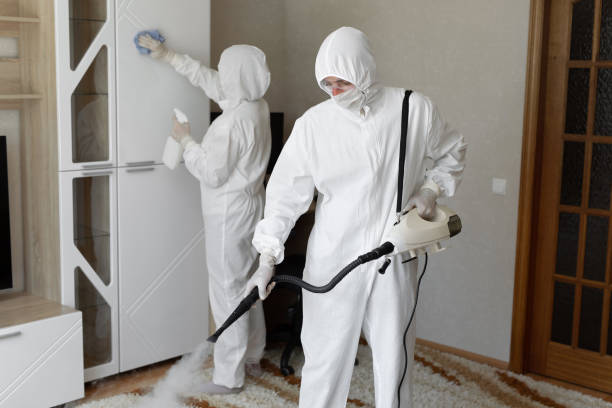 Best Certified Mold Removal  in Saugatuck, CT