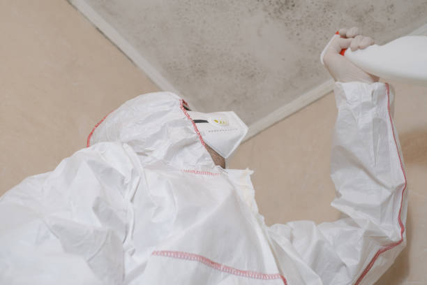 Best Mold Removal Near Me  in Saugatuck, CT