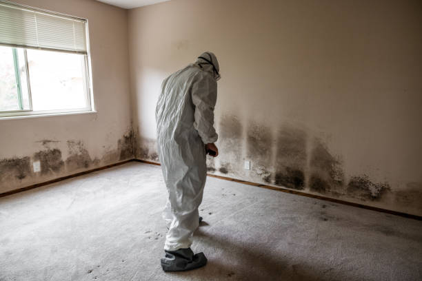 Best Mold Testing  in Saugatuck, CT